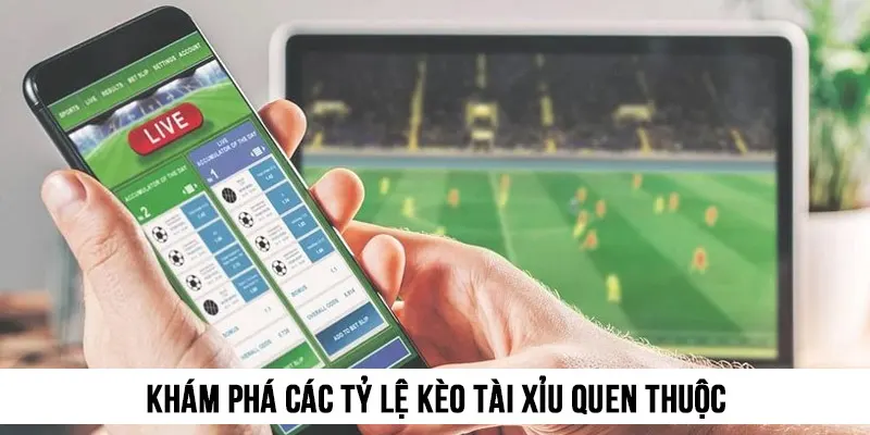 Khám phá các tỷ lệ kèo tài xỉu quen thuộc nhất hiện nay