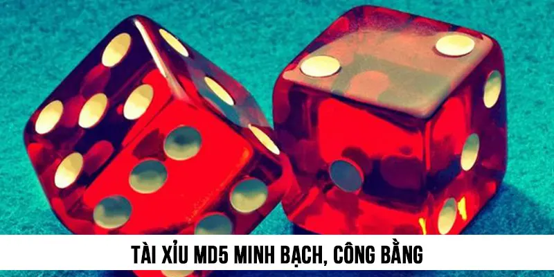 Tài Xỉu MD5 minh bạch, công bằng trong mọi tình huống