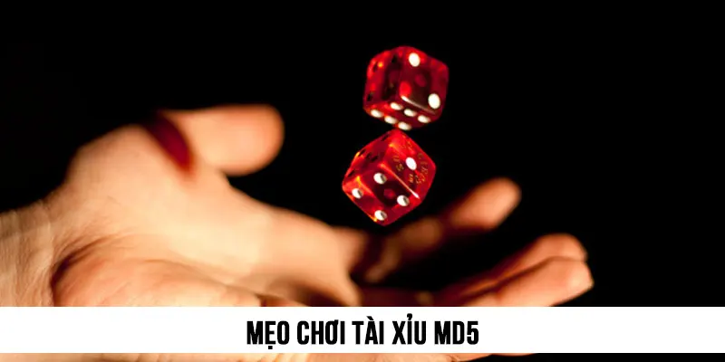 mẹo chơi Tài Xỉu MD5