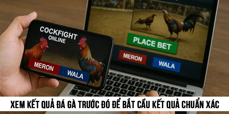 Xem kết quả đá gà trước đó để bắt cầu kết quả chuẩn xác, tỷ lệ thắng cao